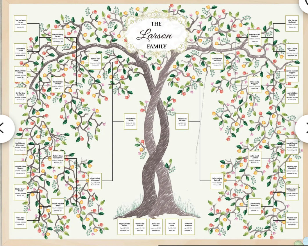 4 Generation Family Tree Minky Blanket